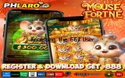 Accessing the 66jl User Login Portal Easily